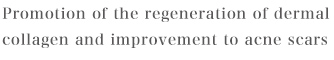 Promotion of the regeneration of dermal collagen and improvement to acne scars