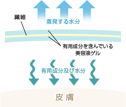 纤维　蒸发的水分　含有有用成分的美容液凝露　有用成分及水分　肌肤